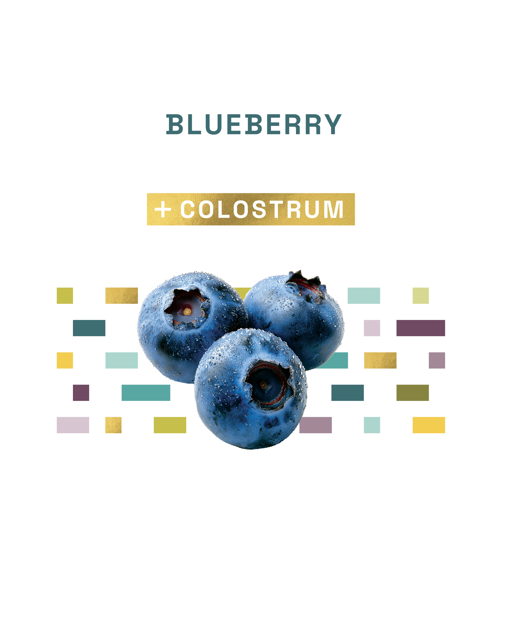 Blueberry Colostrum Smoothie